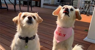 100 Favorite Movies (IMBB)