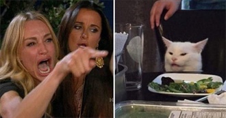 Movies Discerning People Tend to Like but Natt Hates