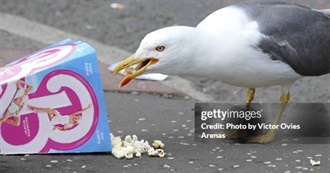 Weregiraffe&#39;s Wacky Movie List