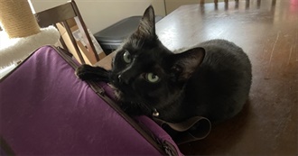 Sally&#39;s Top 50 Movies