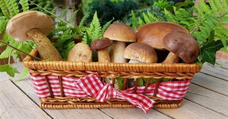 New Hobby Challenge Part 8