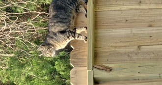 Dean&#39;s Top Books &#128218; &#129655;