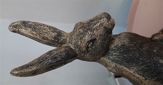 Rach&#39;s  Favourite Films 2025