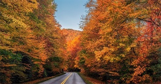 Naomi&#39;s Fall 2025 Watchlist