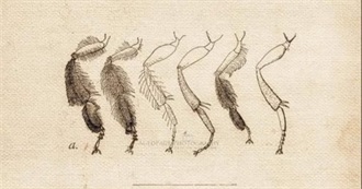 Books Britt Has on Her Mind