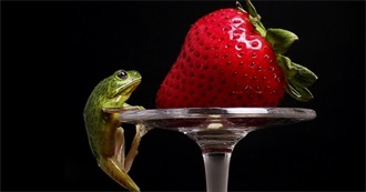 Some of Ange&#39;s Favorite Foods