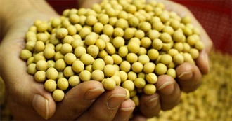 Calcium - Top 10 Legumes