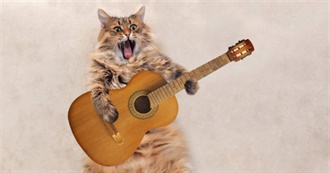 Panda&#39;s Faves (Musicals)