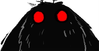 Fine Dining and Fast Food: Naiphe&#39;s Film Roulette