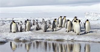 Documentaries Blake Watches