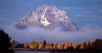 Types of Chicken Food