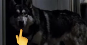 Moss&#39; Movie List