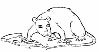 Isabels Normal Movies