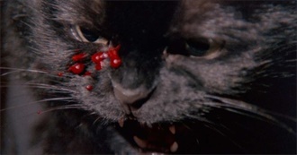 A 19th Trip to the TBW Mountains