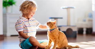 Best Cats for Kids