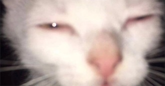 Stupid Ass Movie List