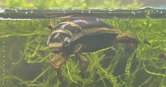 Max&#39;s Books Of, Well, Me!