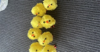 Jules&#39; Favourite Movies