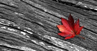 50 Black and White Movies After 70s