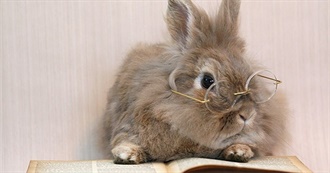 Hoppy Easter, Every Bunny!