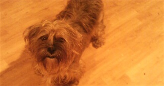 50 Classic Books to Read