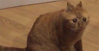 Hadoriel&#39;s Top Movies