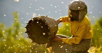 July 2022 Watches Ranked