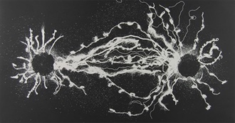 Trianongarden&#39;s Top 100