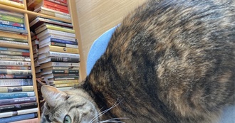 Musicians, Theredandwhitequeen Thinks Are Fun