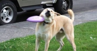 Favorite Couples in Movies/ TV Shows