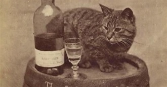 Merlin Brando Album List