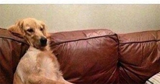 Best 60 Movies of 2001-2015