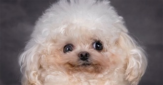 Proof Spec Has Seen a Movie