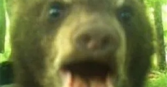 Leo&#39;s All Time Faves