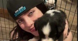 Favourite Celebrities