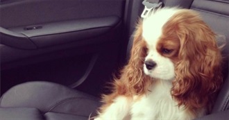 100 Books Maria Has Read