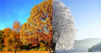 Xmaswe&#39;n Reading