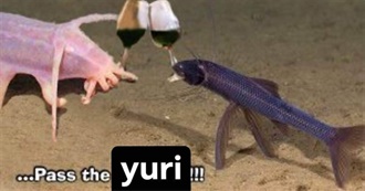 Etain&#39;s Top 101 Albums