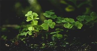 March 2025 Books Read