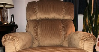 120 Cool Films From 2005-2009, Starting W/ the Puffy Chair.... (Check Us Out!!!)