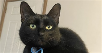 R&#39;s Favorite Movies