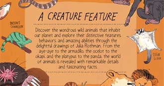 Animals in Alice&#39;s New Book