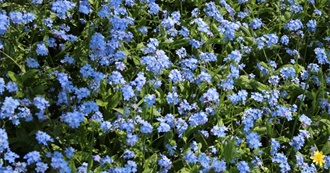 Goodreads &#39;Want to Read&#39;