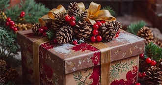 Christmas Gifts Received in 2024