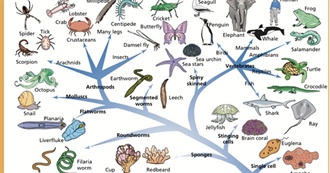 Have You Ever Seen These Animals?