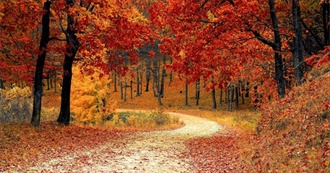 N&#39;s September &amp; October