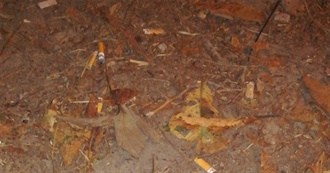 Best 30 Fighting Games