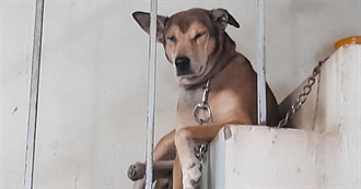 Labour Union Films- 13 Best