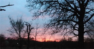 Songs With Female Names in the Title