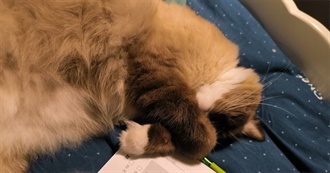 Wolf&#39;s Books Read in 2023